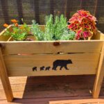 Mini Bear Trug - Solar Pyrography- SunFunArt.com