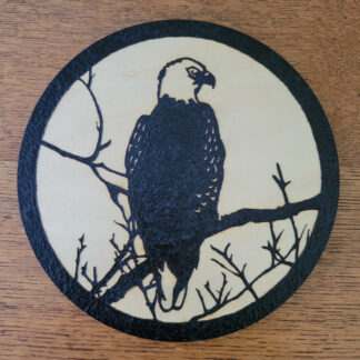 Eagle Tree solar wood burning