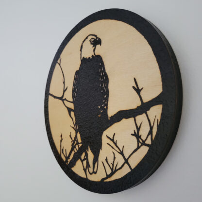 Eagle Tree solar wood burning