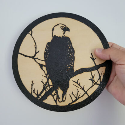 Eagle Tree solar wood burning