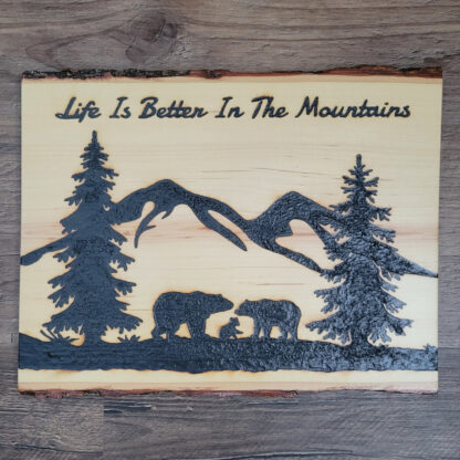 life is better in the mountains-2