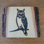 Owl Plaque - Solar Pyrography - SunFunArt.com